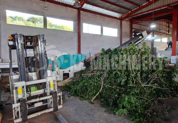 jk-5-8tph-Wood-Chips-Production-Line