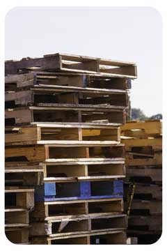 waste-pallets