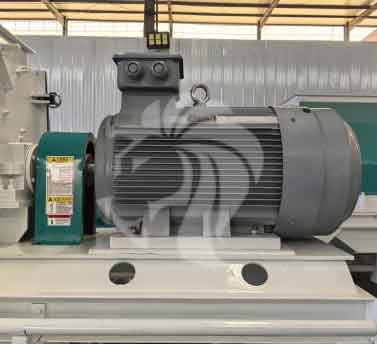 hammer-mill-pulverizer-motor