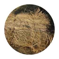 crop-straw