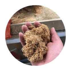 crushed-wood-branch