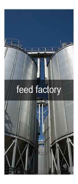 feed-factory