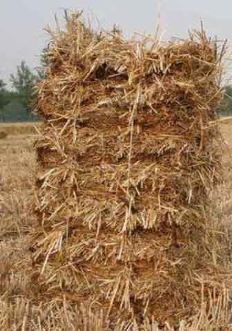 Rice-Straw